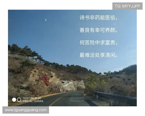 枪打出头鸟全集：看透世事，洞悉人性，笑看风云变幻