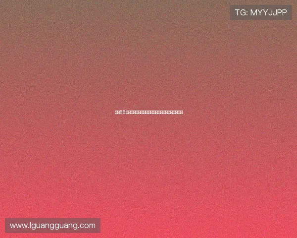 《坐88路车回家》：驶向温暖的记忆，穿越时光的情感列车